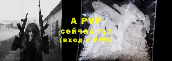 прущие грибы Янаул