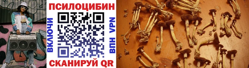 Псилоцибиновые грибы MAGIC MUSHROOMS  Купить закладки  Азнакаево 